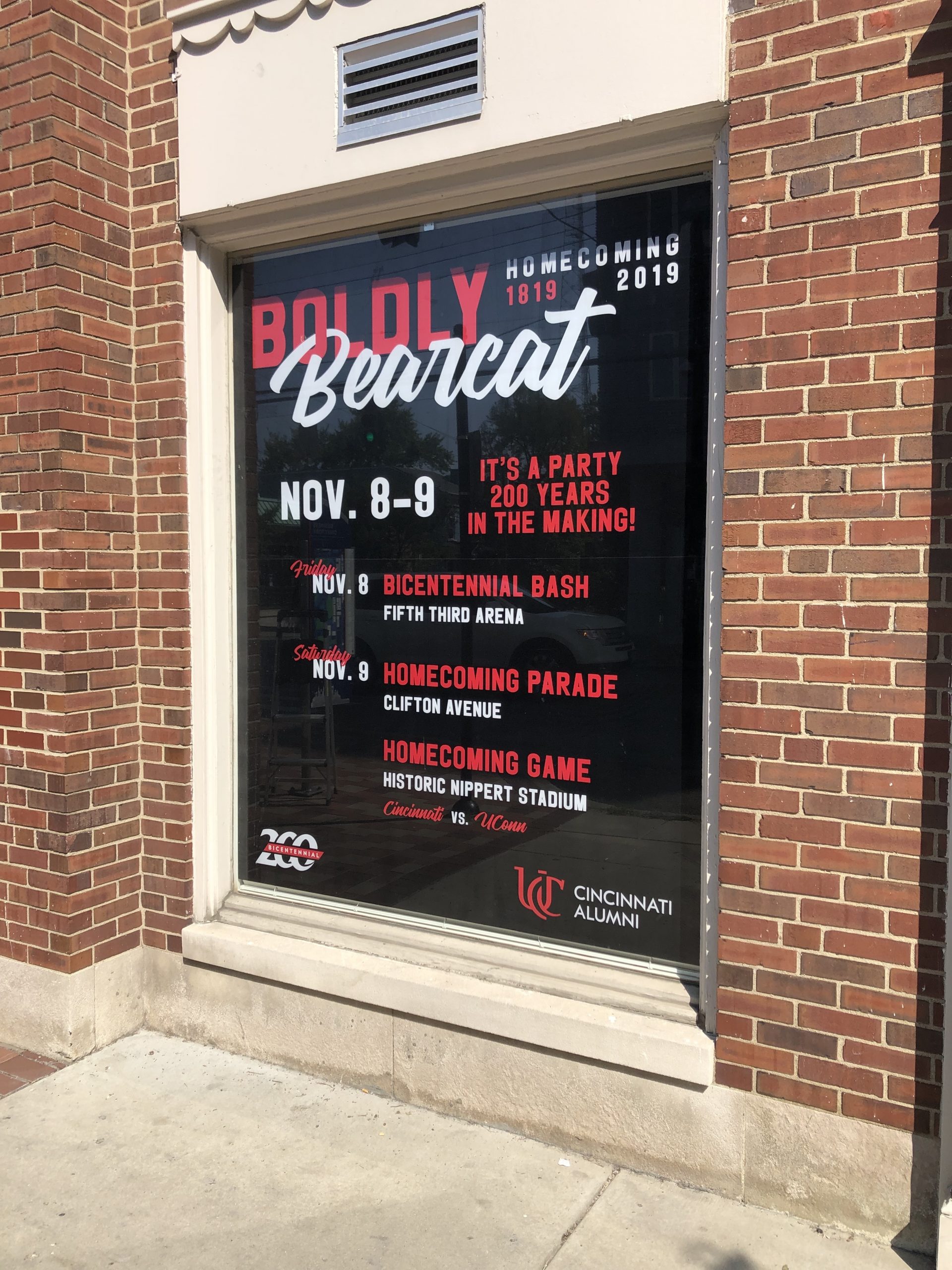 Window Displays – Evolution creative solutions